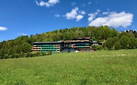 Natura Hotel Bodenmais - inkl Soft- und Heißgetränkeflat